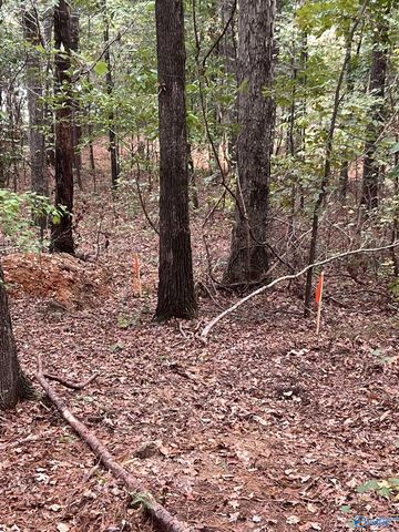 410 - A Aderholt Street, Glencoe, AL 35905