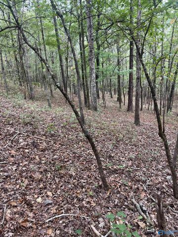 410 - A Aderholt Street, Glencoe, AL 35905