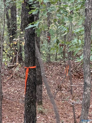 410 - A Aderholt Street, Glencoe, AL 35905