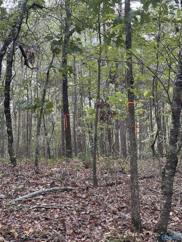 410 - A Aderholt Street, Glencoe, AL 35905