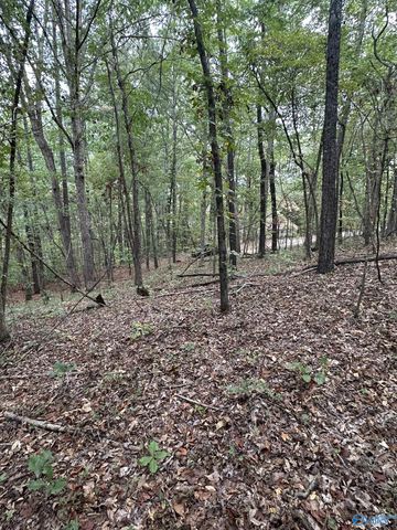 410 - A Aderholt Street, Glencoe, AL 35905