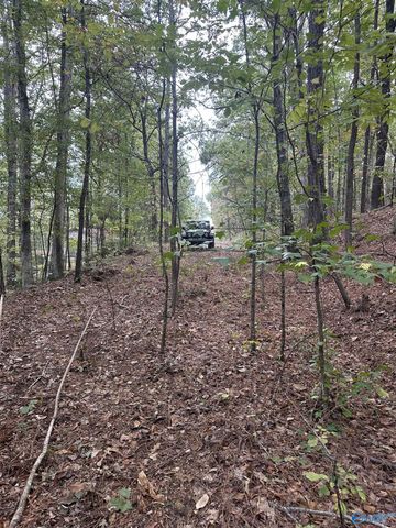 410 - A Aderholt Street, Glencoe, AL 35905