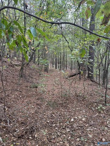 410 - A Aderholt Street, Glencoe, AL 35905