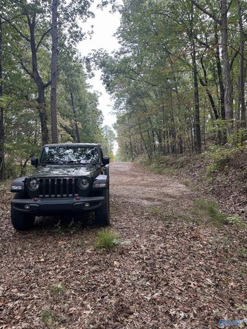 410 - A Aderholt Street, Glencoe, AL 35905