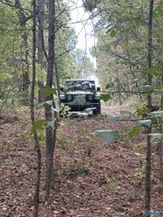 410 - A Aderholt Street, Glencoe, AL 35905