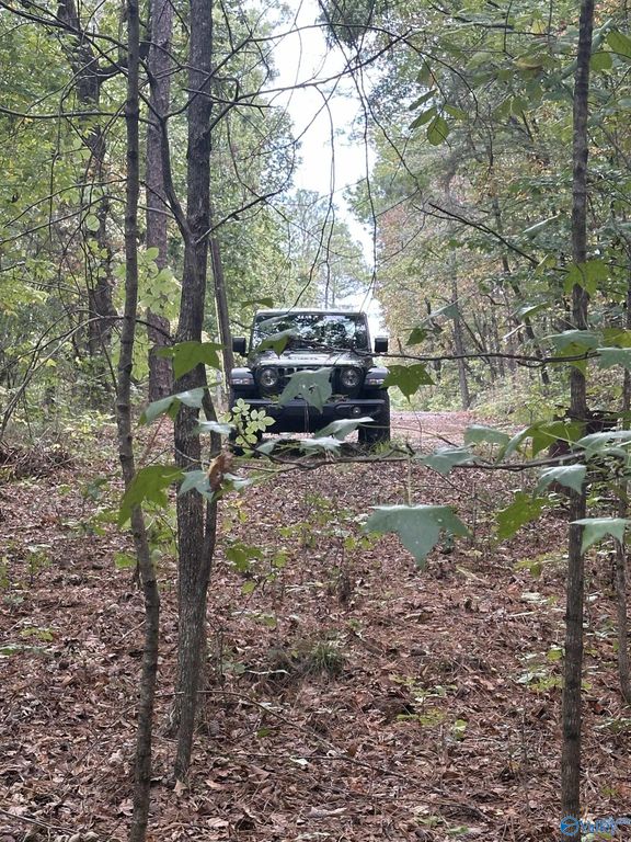 410 - A Aderholt Street, Glencoe, AL 35905