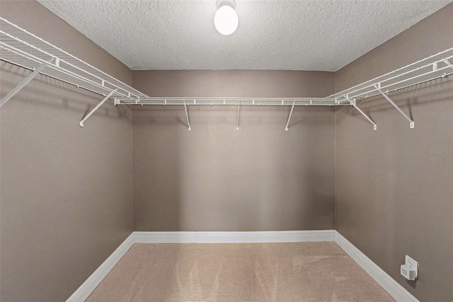 1724 WOODMARKER COURT, Brandon, FL 33510