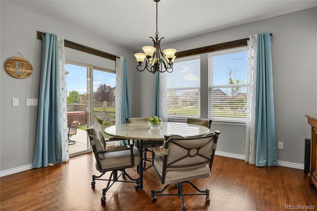 7158 Spring Linden Court, Colorado Springs, CO 80927