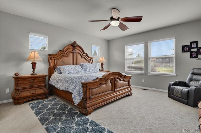 7158 Spring Linden Court, Colorado Springs, CO 80927