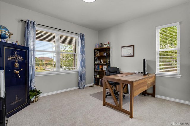 7158 Spring Linden Court, Colorado Springs, CO 80927