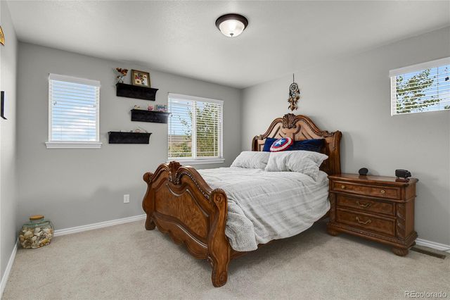 7158 Spring Linden Court, Colorado Springs, CO 80927