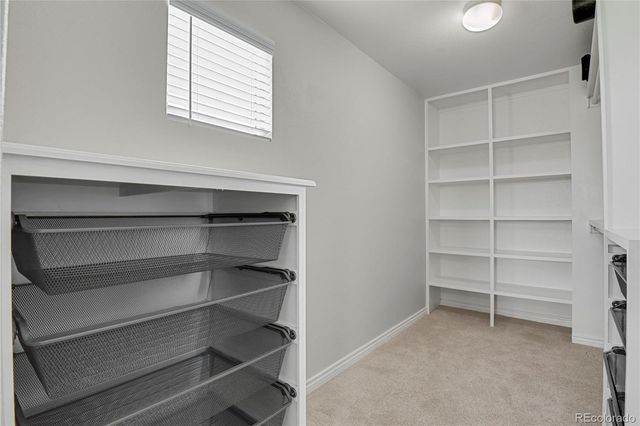 7158 Spring Linden Court, Colorado Springs, CO 80927