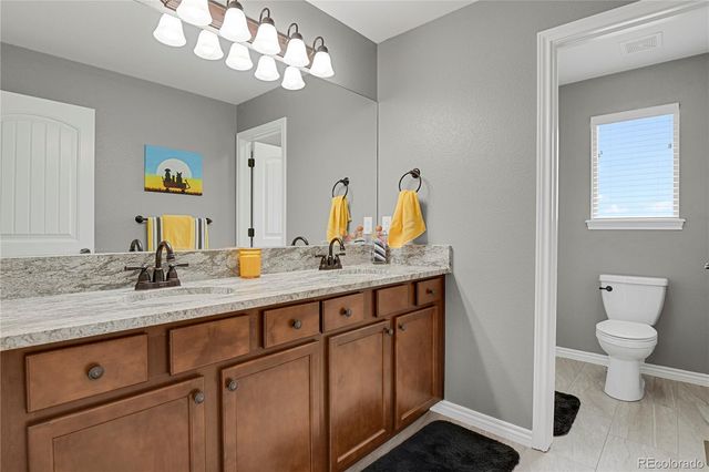 7158 Spring Linden Court, Colorado Springs, CO 80927