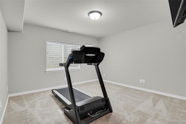 7158 Spring Linden Court, Colorado Springs, CO 80927