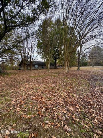 768 Louis Bennett Road, Anguilla, MS 38721