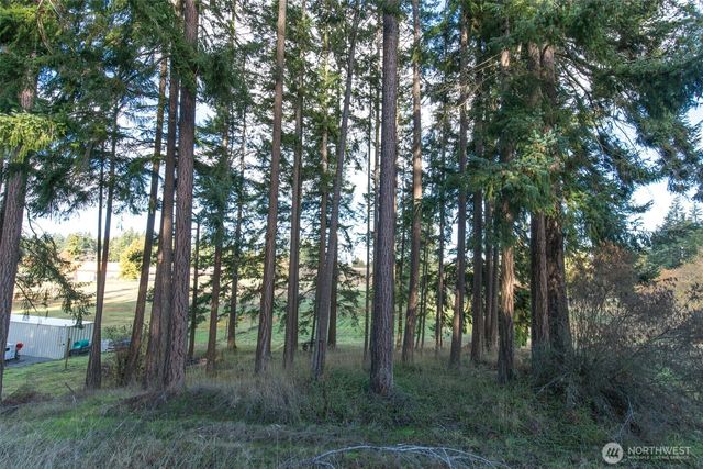 9999 Levig Road, Port Angeles, WA 98362