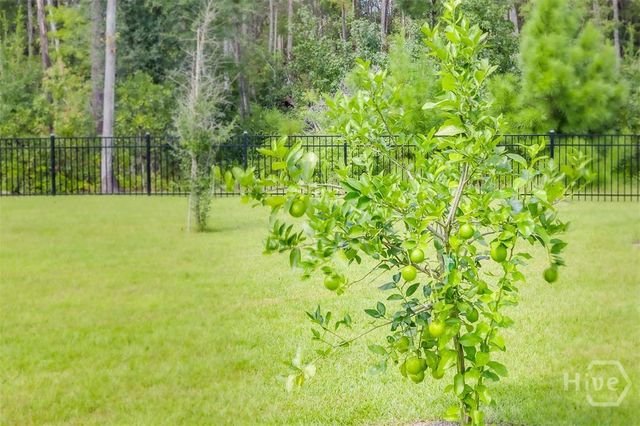 110 Weyview Gardens S, Pooler, GA 31322