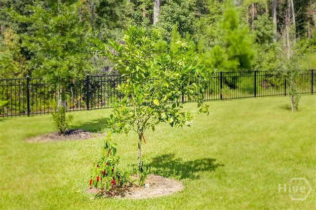 110 Weyview Gardens S, Pooler, GA 31322