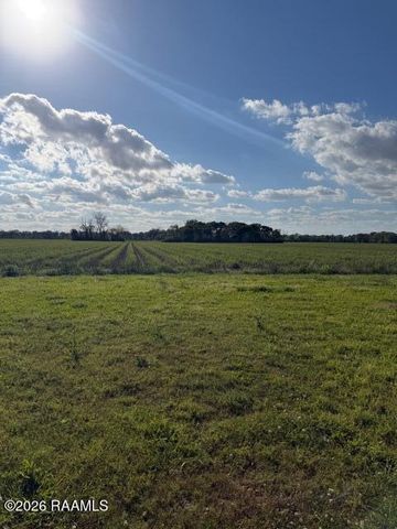 9728 Dudley Road, Erath, LA 70533