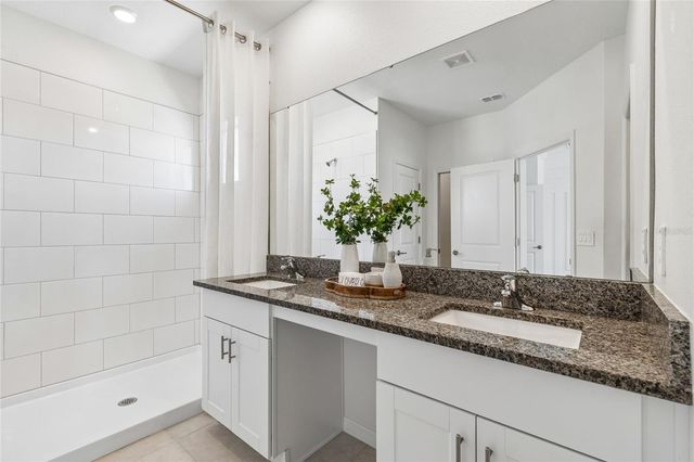 10811 FOWLERS BLUFF COURT, Tampa, FL 33647