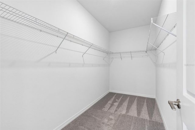 10811 FOWLERS BLUFF COURT, Tampa, FL 33647