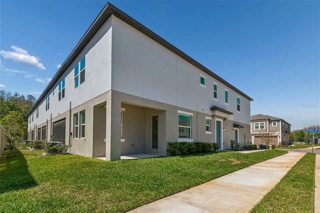 10811 FOWLERS BLUFF COURT, Tampa, FL 33647