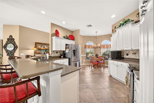 1645 HOLLOW BRANCH WAY, The Villages, FL 32162