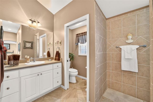 1645 HOLLOW BRANCH WAY, The Villages, FL 32162