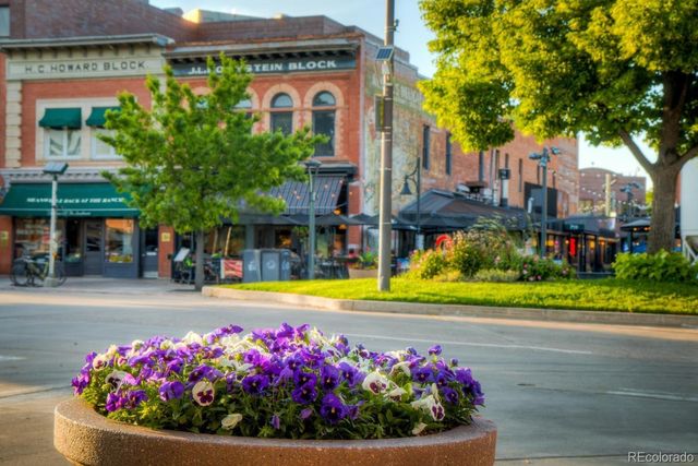 232 E Oak Street 109E, Fort Collins, CO 80524