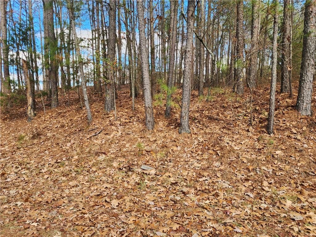 91 Cannon Ridge View, Dallas, GA 30132
