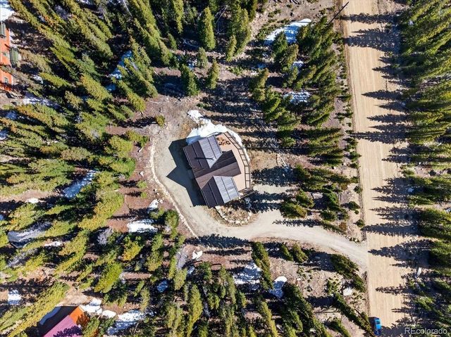 103 Prunes Place, Fairplay, CO 80440