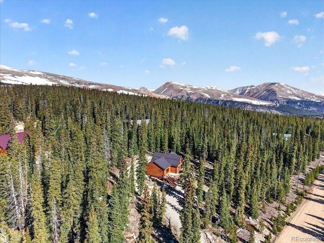 103 Prunes Place, Fairplay, CO 80440