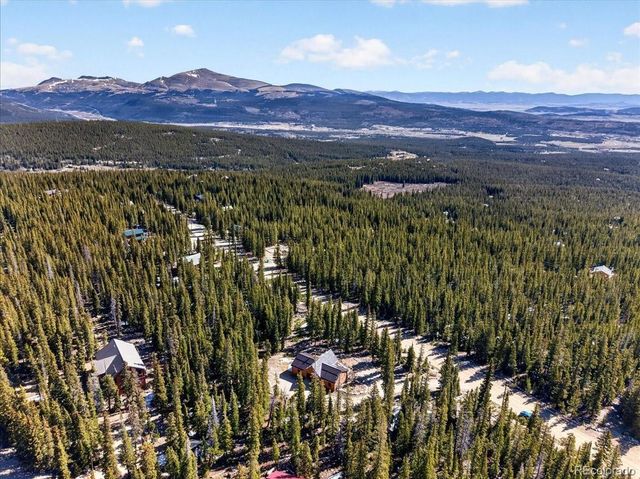 103 Prunes Place, Fairplay, CO 80440