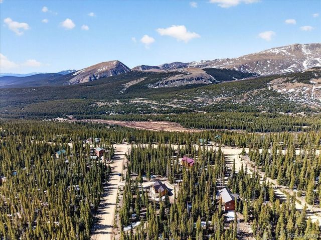 103 Prunes Place, Fairplay, CO 80440