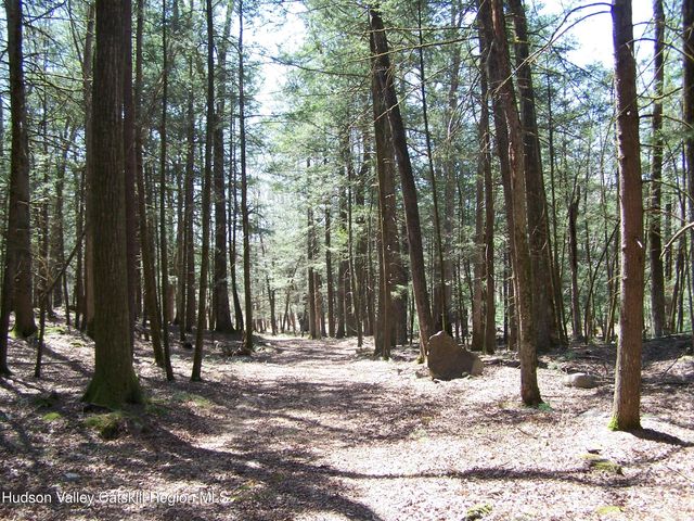 Tbd Buck Road, Stone Ridge, NY 12484