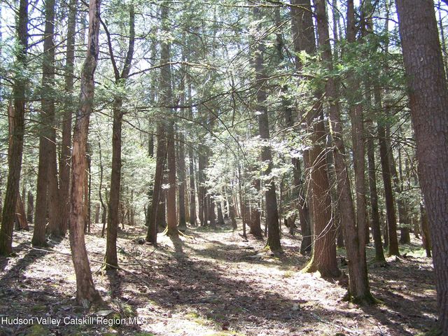 Tbd Buck Road, Stone Ridge, NY 12484