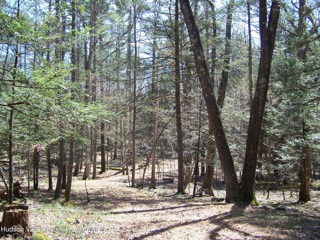 Tbd Buck Road, Stone Ridge, NY 12484