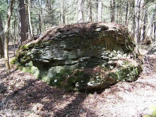 Tbd Buck Road, Stone Ridge, NY 12484