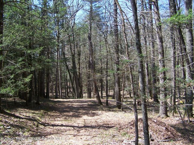 Tbd Buck Road, Stone Ridge, NY 12484