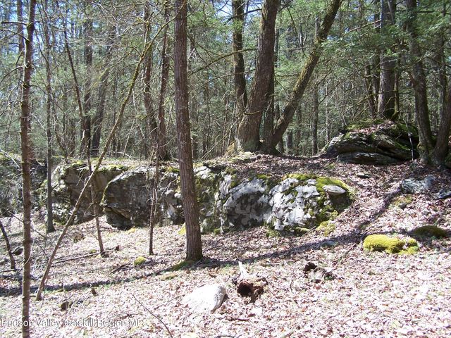 Tbd Buck Road, Stone Ridge, NY 12484