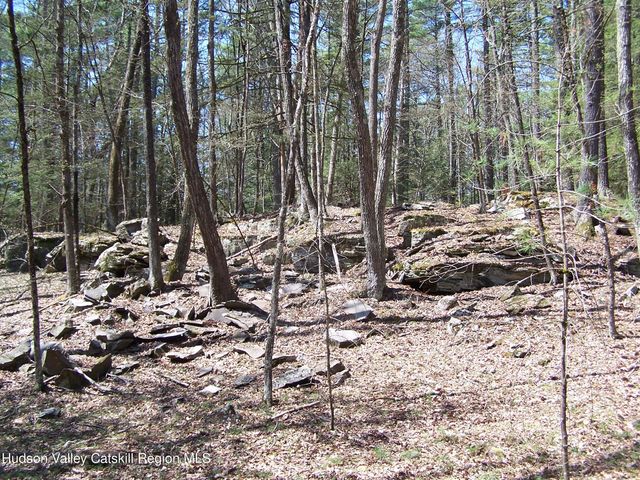 Tbd Buck Road, Stone Ridge, NY 12484