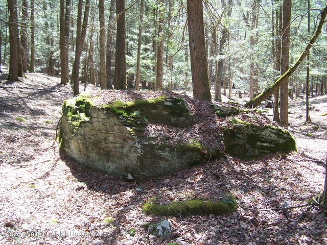 Tbd Buck Road, Stone Ridge, NY 12484