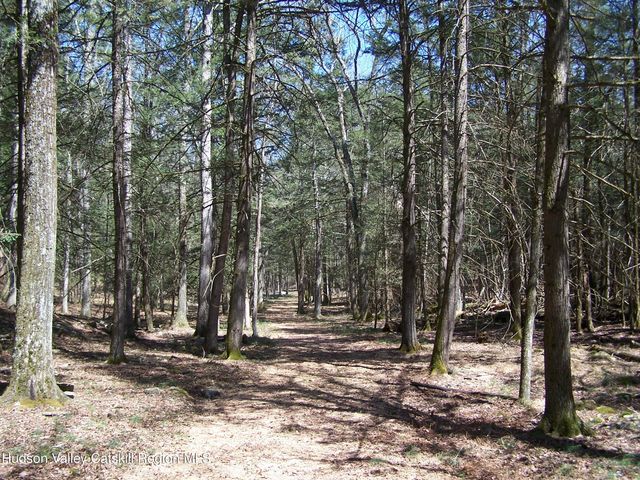 Tbd Buck Road, Stone Ridge, NY 12484