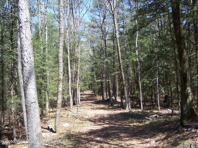 Tbd Buck Road, Stone Ridge, NY 12484