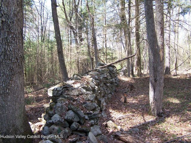 Tbd Buck Road, Stone Ridge, NY 12484