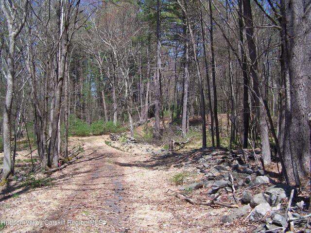 Tbd Buck Road, Stone Ridge, NY 12484