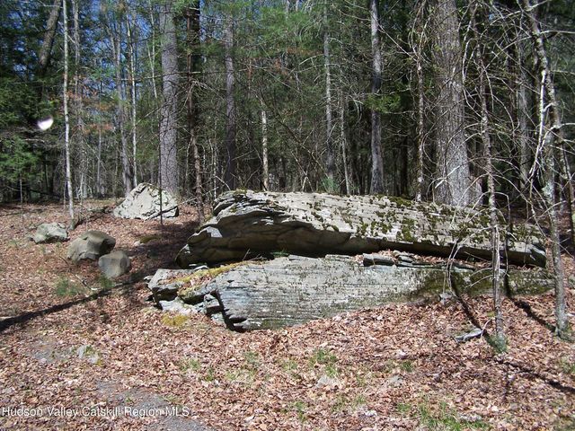Tbd Buck Road, Stone Ridge, NY 12484