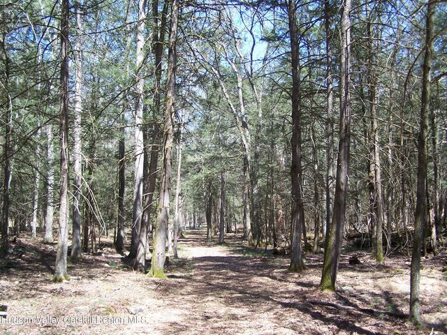 Tbd Buck Road, Stone Ridge, NY 12484