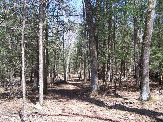 Tbd Buck Road, Stone Ridge, NY 12484