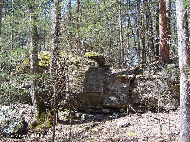 Tbd Buck Road, Stone Ridge, NY 12484